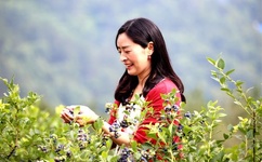 日本国产一区在线观看